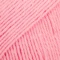 21 Pæon rosa